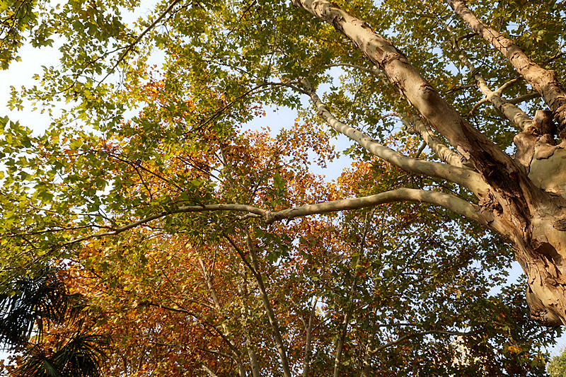 0K9A2632_副本.jpg 0K9A2632_副本.jpg