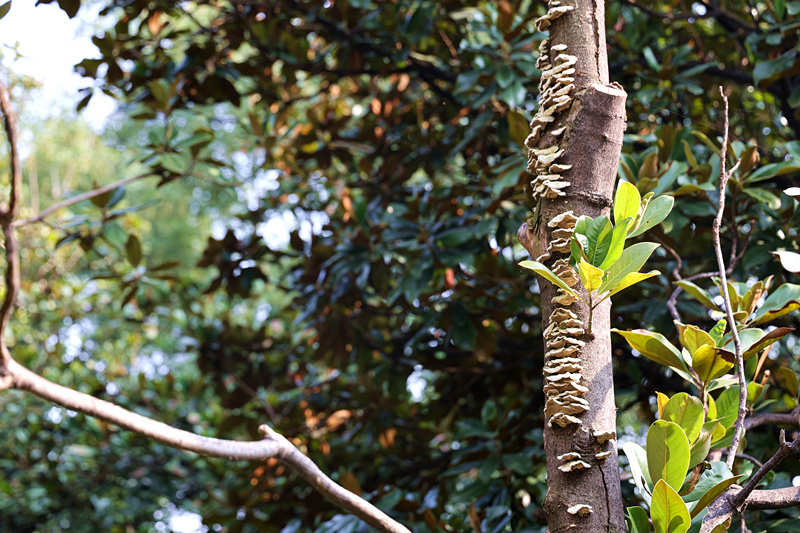 0K9A2654_副本.jpg 0K9A2654_副本.jpg