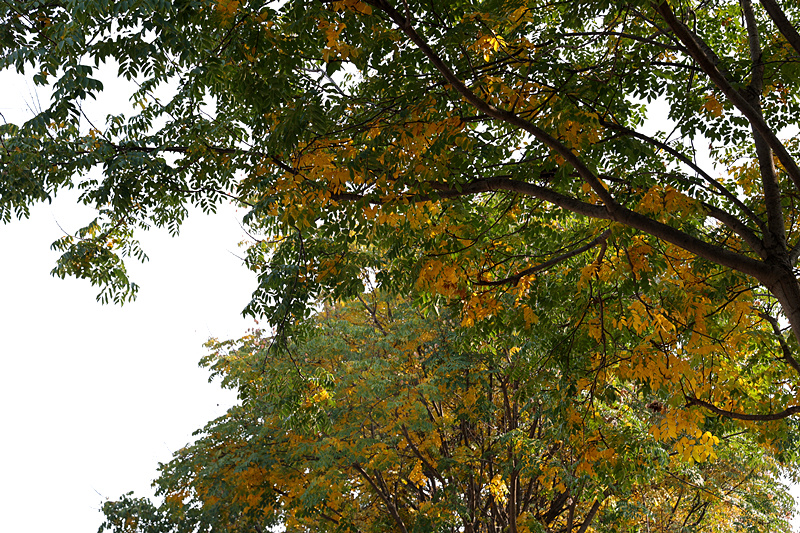 0K9A2705_副本.jpg 0K9A2705_副本.jpg