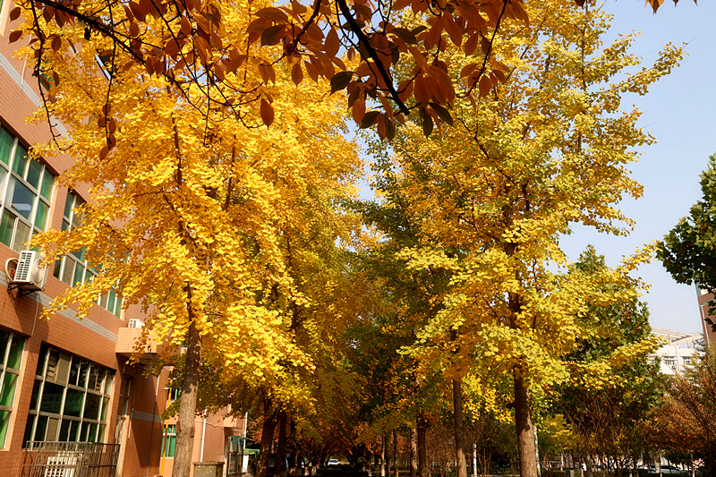 0K9A2733_副本.jpg 0K9A2733_副本.jpg